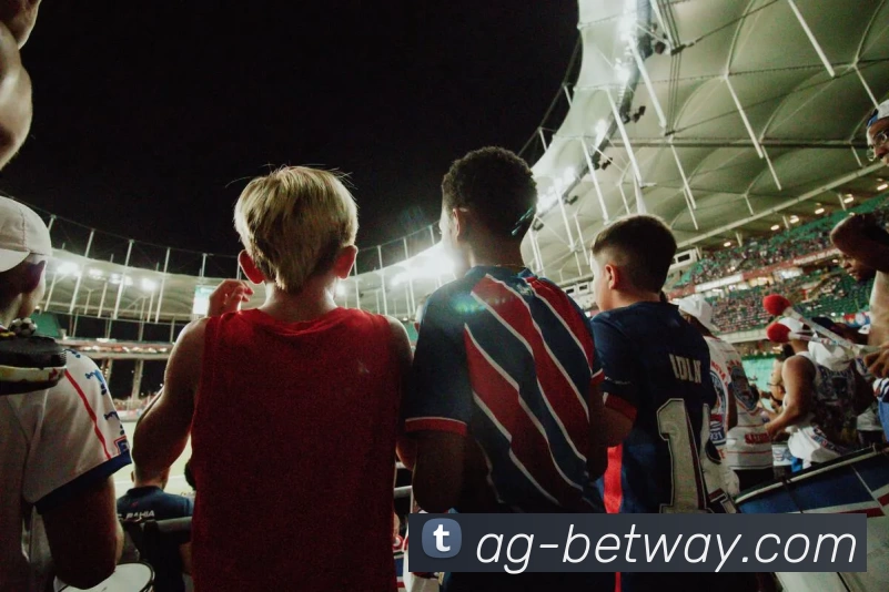 多媒体互动体验